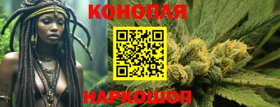 прущие крисы Новокубанск