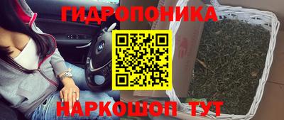 прущие крисы Новокубанск