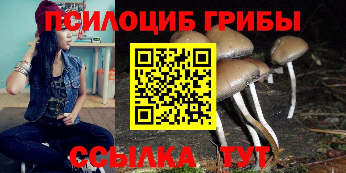 Псилоцибиновые грибы Cubensis  Вход с VPN  Славянск-на-Кубани 