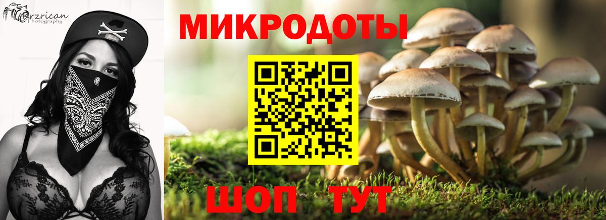 Галлюциногенные грибы Magic Shrooms Славянск-на-Кубани